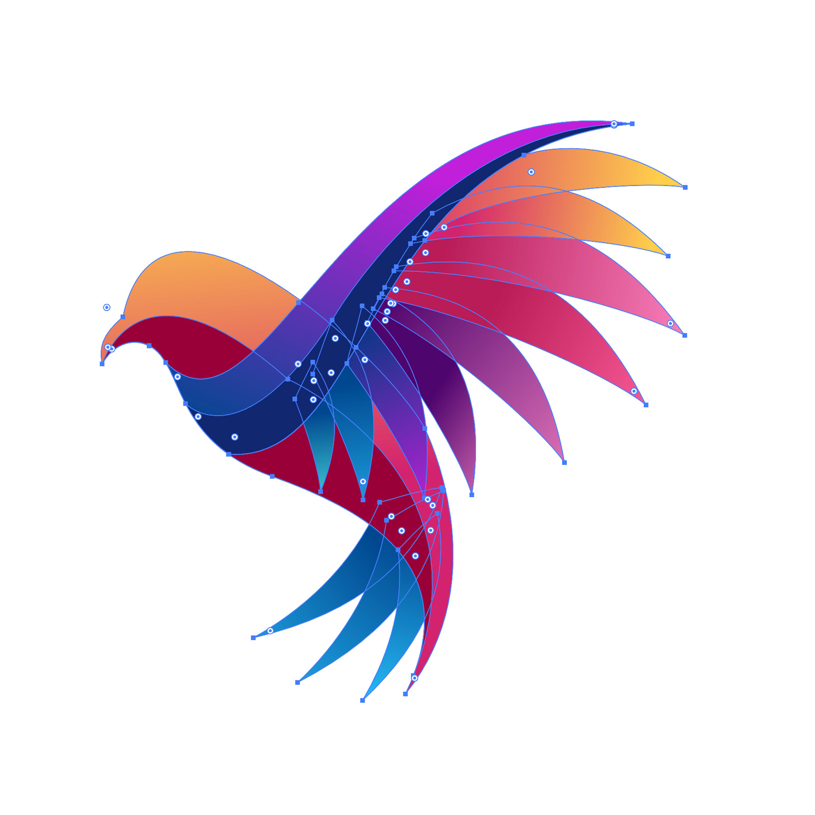 vectoren-adobe-illustrator-geselecteerd