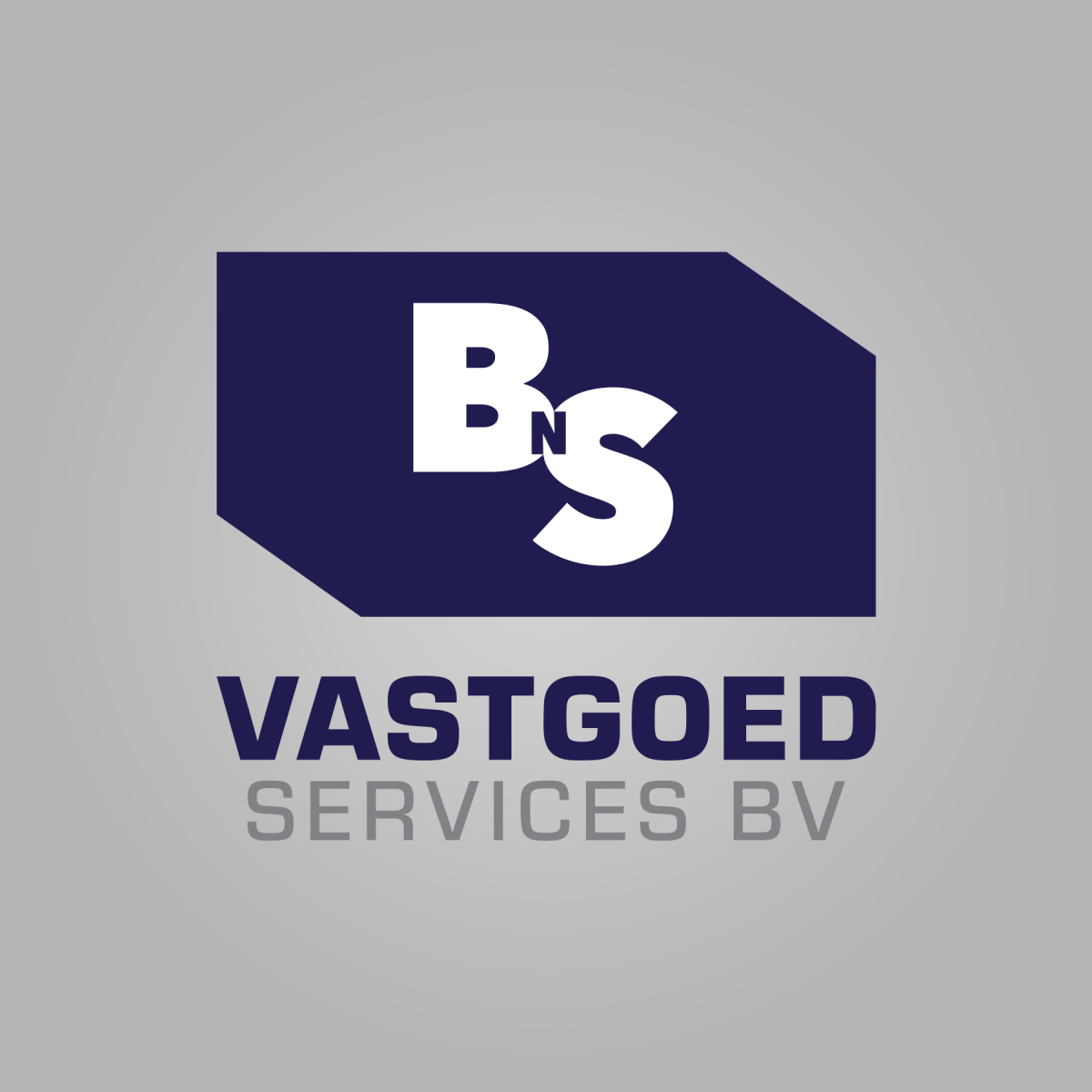 250211-combinatielogo-BnS-Vastgoed-Services