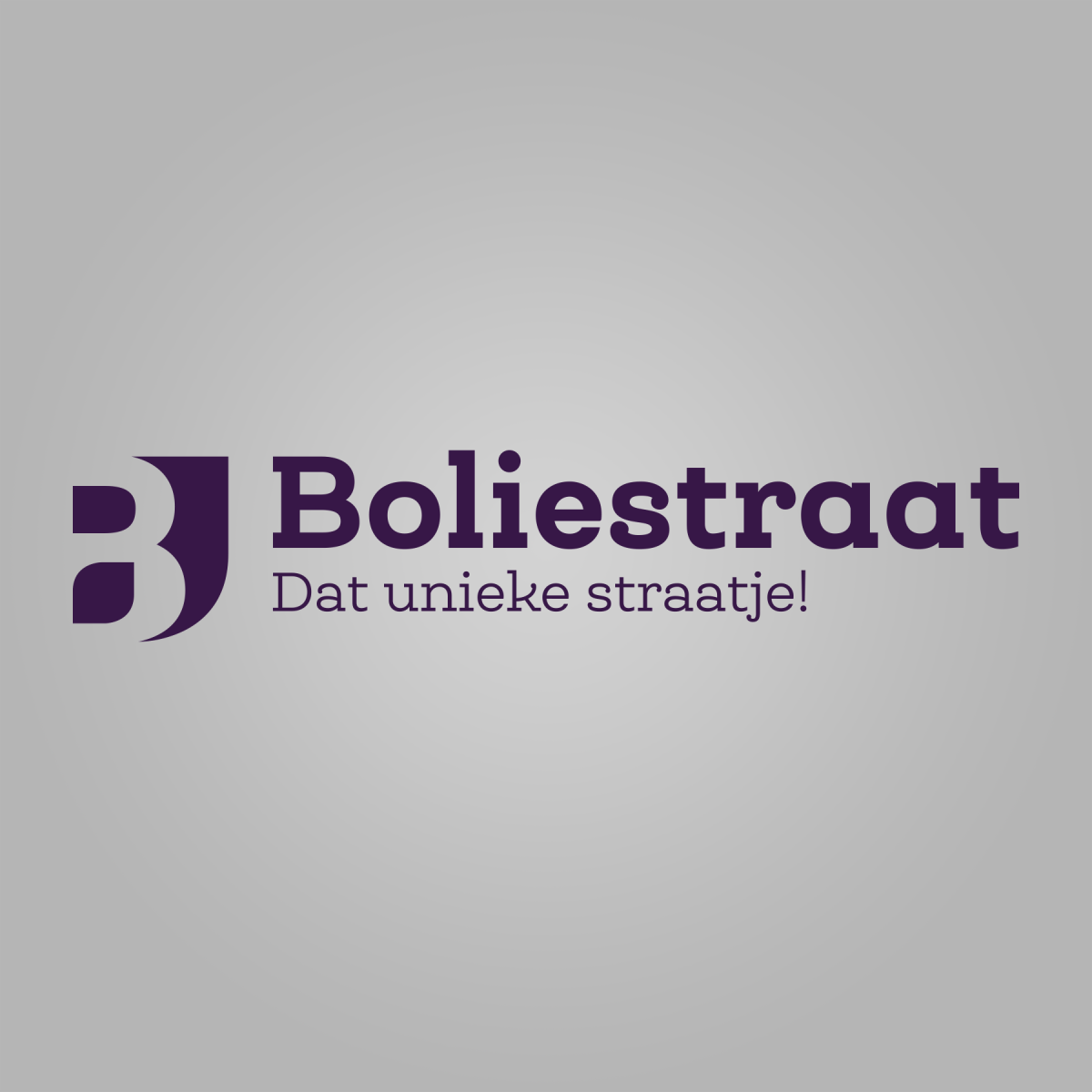 250309-logo-winkelstraat-doetinchem-Boliestraat